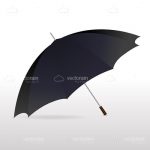 Large Black Umbrella